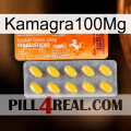 Kamagra100Mg new05